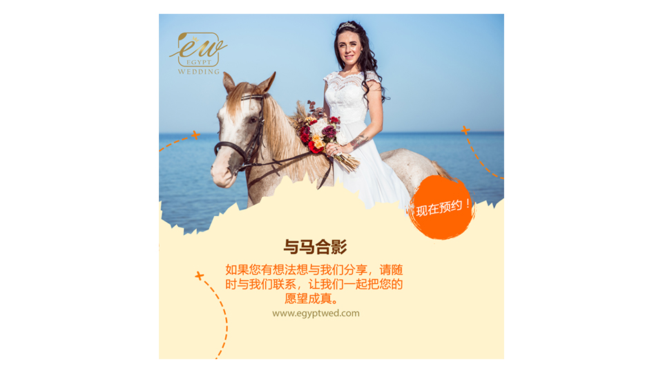 egyptwed-wedding-photosession-with-horse-abroad-in-egypt-red-sea-hurghada