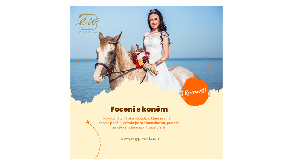 egyptwed-wedding-photosession-with-horse-abroad-in-egypt-red-sea-hurghada
