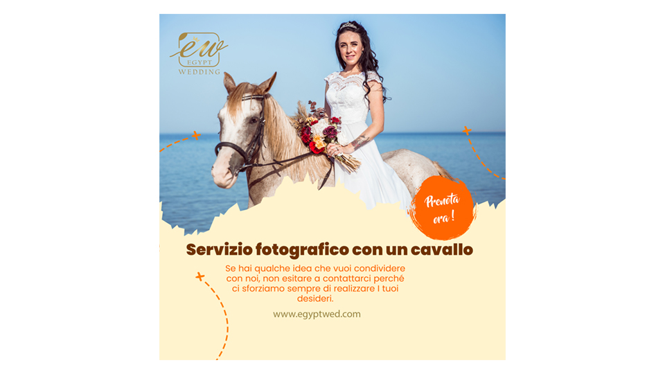egyptwed-wedding-photosession-with-horse-abroad-in-egypt-red-sea-hurghada