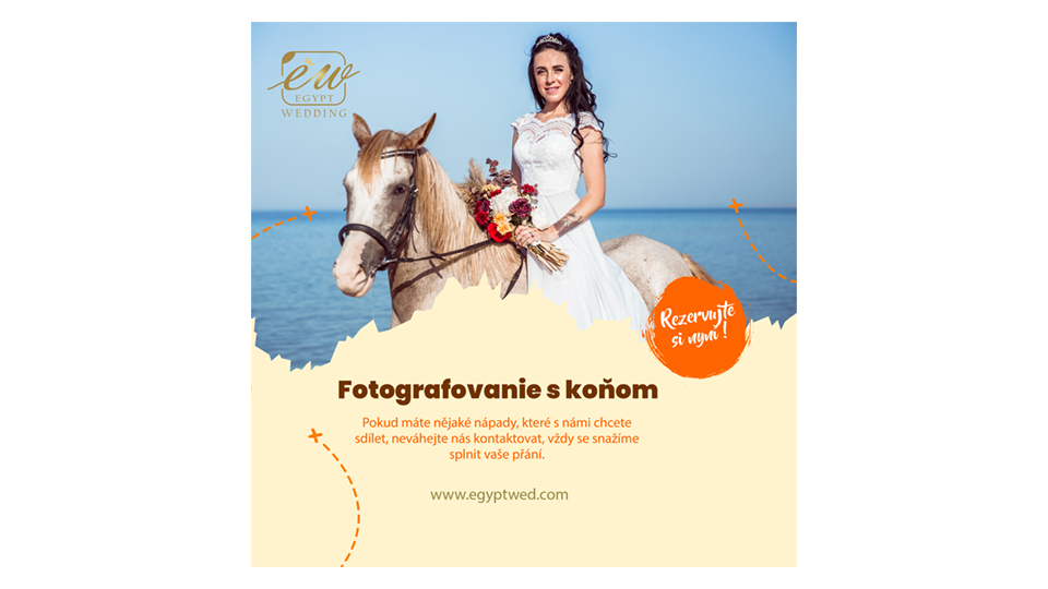 egyptwed-wedding-photosession-with-horse-abroad-in-egypt-red-sea-hurghada
