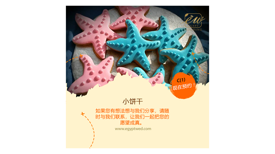 egyptwed-zafir-wedding-abroad-in-egypt-red-sea-hurghada