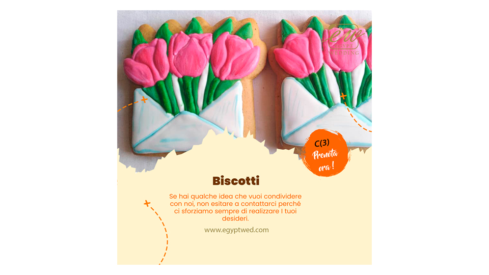 egyptwed-zafir-wedding-abroad-in-egypt-red-sea-hurghada